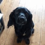Karl Cartwright - @karlosthegr81 - Instagram