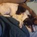 Carl Conley - Facebook