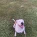 Carl E Conley - Facebook