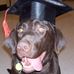 Karl Jeffery Craddock - Facebook