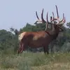 Karl Cramer - @karl.cramer3 - TikTok