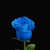Karl Day - Facebook