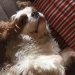 Karl_day - @cill_with_karl - Instagram