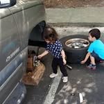 Karl Denner - @karldenner - Instagram
