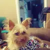 Carl Devlin - @carldevlin - TikTok