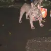 Karl dixon - @karl.dixon0 - TikTok