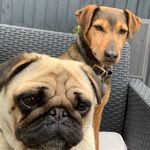 Karl Donner - @karldonner3 - Instagram