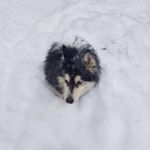 Karl Donner - @karl_donner - Instagram