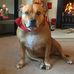 Carl Dowell - Facebook