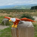 Karl Heinz The Eagle - @karlheinz_theeagle - Instagram