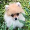 karleberle952 - @karleberle952 - TikTok
