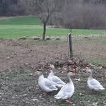 Karl Ecker - @hierraeumt - Instagram