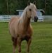 Carl Eddy - Facebook