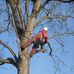 Entreprise Karl Eddy des espaces verts - Facebook