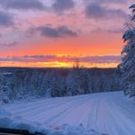 Alva Edmark Karlsson - @edmarkkarlsson - Instagram