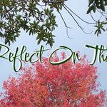 Karl Edwards - @reflect_on_this_ - Instagram