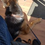 Karl Edwards - @karl.edwards.37819 - Instagram