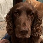 Carl Egan - @paraegan - Instagram
