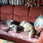 Karl Eilers - @karleilers - Instagram