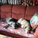 Karl Eilers - Facebook