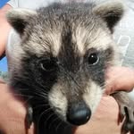 Karl Eisele - @karl.eisele.581 - Instagram