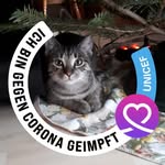 Eisen Karl Heinz - @eisen.karlheinz.7 - Instagram