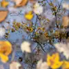 carl eklund - @carl.eklund - TikTok