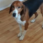 Karl-Erik Eklund - @keken47 - Instagram