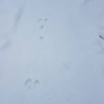Karl-Erik Eklund - @karlerik.eklund - Instagram