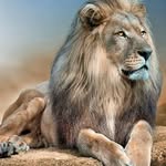 Karl Elder Johnson - @johnson08476 - Instagram