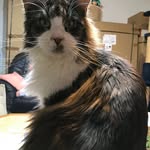 Karl Ellerbeck - @karlellerbeck2019 - Instagram