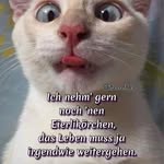 Engler Karl - @engler.karl.5 - Instagram