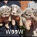 Karl Field - Facebook