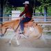 Karl Geist - Facebook