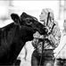 Karly Goetz - Facebook
