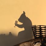 Karl Goodwin - @goodwinks11 - Instagram