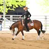 karl - @karly_kopp_ - TikTok