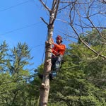 Karl Guy KG Tree Service - @kgtreeservice.karlguy - Instagram