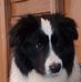 Karl-Walter Hamel - Facebook