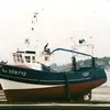 karlhamel - @karlhamel - TikTok