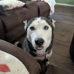 Karl Boss - @karl.heather1 - Instagram