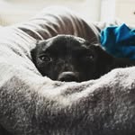 Karl Hebert - @karlhebert4 - Instagram
