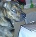 Karl-Heinz Hecht - Facebook