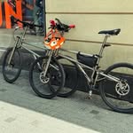 Karl-Friedrich Heck - @kfheck - Instagram