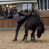 Carl Hedin - @hedincarl - TikTok