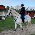 Heldine Engla Karlström - @heldinekarlstromhast - Instagram