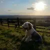 Carl Hinton - @carl.hinton6 - TikTok