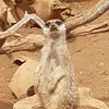 karlheinzbienhoff - @karlheinzbienhoff - TikTok