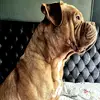 Karl Holder - @karl.holder - TikTok