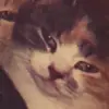 Karl Holman - @karlholman - TikTok